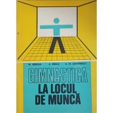 GIMNASTICA LA LOCUL DE MUNCA-M. BIRJEGA, A. BIRLEA, A.M. STEFANESCU-247180