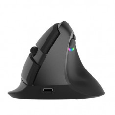 Mouse wireless si bluetooth Delux M618 mini negru