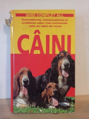 Rino Falappi - Cainii foto