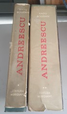 Radu Bogdan - Andreescu , 2 volume foto