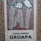 Eugen Barbu - Groapa