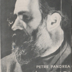 Petre Pandrea - Brancusi Amintiri si exegeze