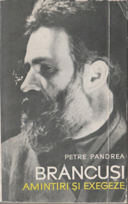 Petre Pandrea - Brancusi Amintiri si exegeze foto