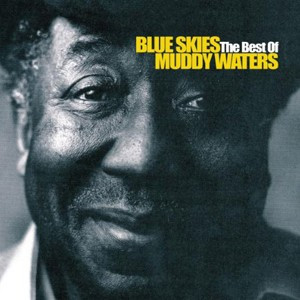 Muddy Waters Blue Skies The Best Of (cd) foto