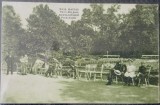 Carte postala, Baia Bazias, Parte din Parc, perioada interbelica
