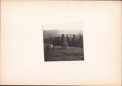 HST G80N Munții Apuseni Vărășoaia spre C&amp;acirc;rligata, 1921 foto