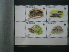 A2 SERIE MONACO TESTOASE