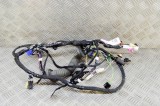 Cablaj ușă dreapta față TESLA MODEL X 2018 OEM: 1032440-00-G 17994885