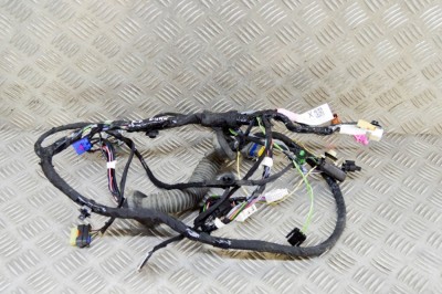 Cablaj ușă dreapta față TESLA MODEL X 2018 OEM: 1032440-00-G 17994885 foto
