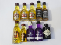 Miniaturi wisky gin 10 bucati x 50 ml foto