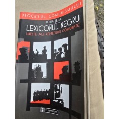 LEXICONUL NEGRU UNELTE AL REPRESIUNII COMUNISTE , DOINA JELEA , 2001