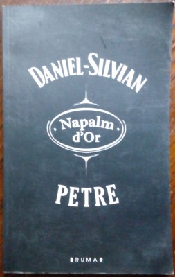 DANIEL-SILVIAN PETRE: NAPALM D&amp;#039;OR (VERSURI, editia princeps - 2008) foto