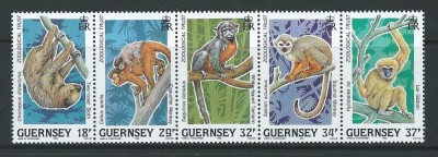 Guernsey 1989 - Animale, maimute, serie neuzata foto