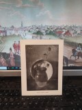 Costin Neamțu, planșă, Expoziția de pastel, București 1983, 120