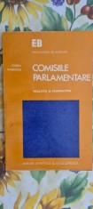 Comisiile parlamentare Florin Vasilescu foto