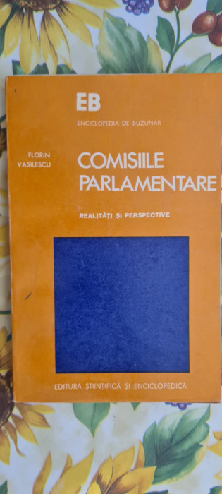 Comisiile parlamentare Florin Vasilescu