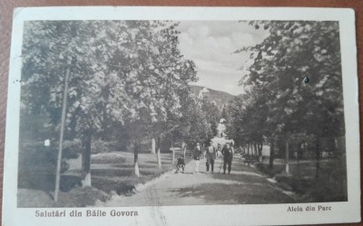 Carte postala, Baile Govora, aleie in parc, 1925 foto