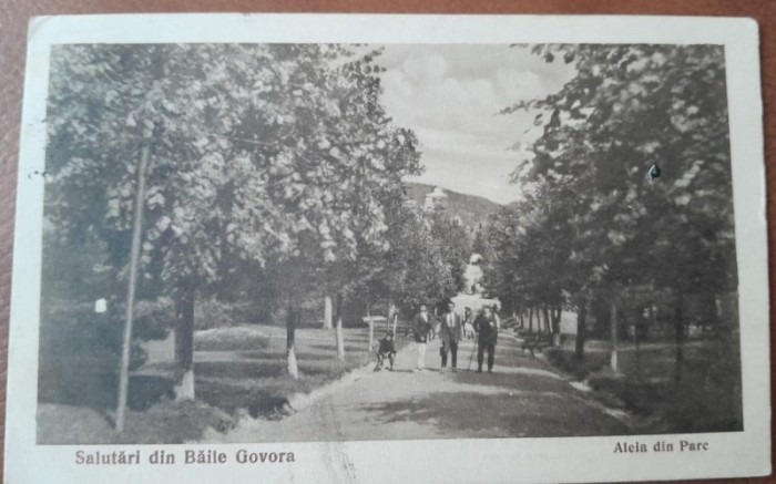Carte postala, Baile Govora, aleie in parc, 1925