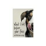 What I Lick Before Your Face: And Other Haikus by Dogs