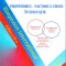 AS - PROFESORUL - FACTORUL CHEIE IN EDUCATIE