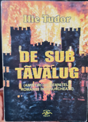 ILIE TUDOR DE SUB TAVALUG 2003 DETINUT POLITIC LEGIONAR INCHISORI COMUNISTE 166P foto