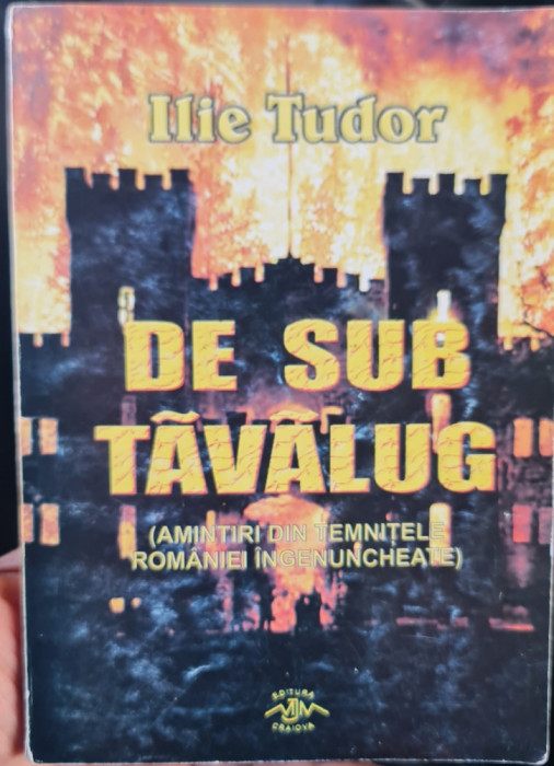 ILIE TUDOR DE SUB TAVALUG 2003 DETINUT POLITIC LEGIONAR INCHISORI COMUNISTE 166P