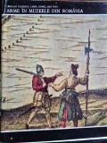 Arme in muzeele din Romania - Cristian Vladescu