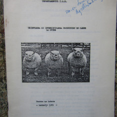 ORIENTAREA SI INTENSIFICAREA PRODUCTIEI DE CARNE LA OVINE