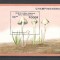 Benin.1996 Ciuperci-Bl. DF.266