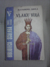 Vlaicu Voda - ALEXANDRU DAVILA foto