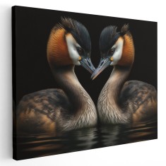 Tablou canvas doua rate salbatice pe lac, maro, negru 1244 Tablou canvas pe panza CU RAMA 60x80 cm