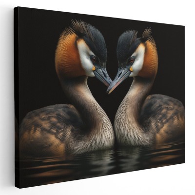 Tablou canvas doua rate salbatice pe lac, maro, negru 1244 Tablou canvas pe panza CU RAMA 70x100 cm foto