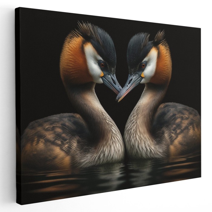 Tablou canvas doua rate salbatice pe lac, maro, negru 1244 Tablou canvas pe panza CU RAMA 70x100 cm