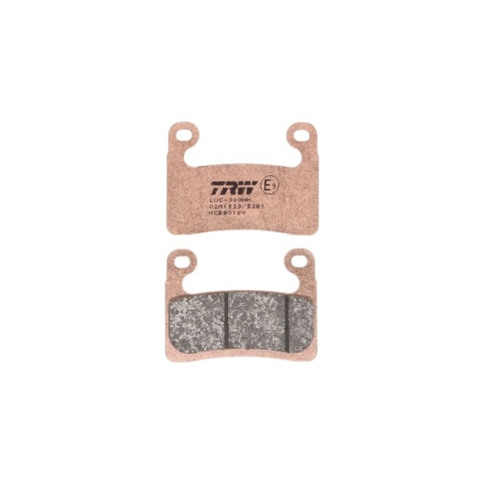 Placute Frana Fata Sinterizate TRW MCB901SV BMW R1250GS S1000RR