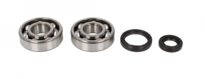 Set rulmenti ambielaj Suzuki RM 125 89- 08 Allballs 24-1016 foto