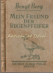 Mein Freund Der Regenpfeifer - Bengt Berg - 1927 foto