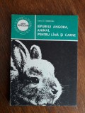 Iepurele Angora, animal pentru lana si carne / R3P2F, Alta editura