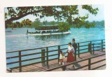 RF151 - Carte Postala - Bucuresti. Vedere din parcul de cultura si odihna I.V. Stalin, circulata 1961