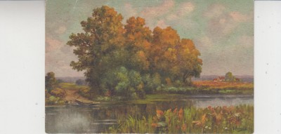 D11 A 55 - Felicitare de colectie - tematica natura - anii 1930 foto
