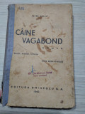 CAINE VAGABOND - Ciclul: APOSTOL VARNAVA - Petre Bellu - 1940, 263 p.