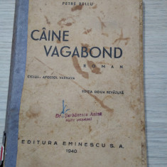 CAINE VAGABOND - Ciclul: APOSTOL VARNAVA - Petre Bellu - 1940, 263 p.