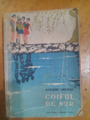 Coiful de aur-Alexandru Sahighian foto