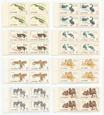 |Romania, LP 592/1964, Gradina Zoologica din Bucuresti, blocuri de 4, MNH foto