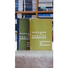 Algebra si analiza matematica. Culegere de probleme (2 volume) - Nicolae Donciu
