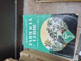 Farmacia verde vintage