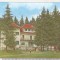 bnk cp Stana de Vale - Cabana turistica - necirculata
