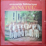 ENSEMBLE FOLKLORIQUE BANATUL - ANSAMBLUL FOLCLORIC DIN BANAT - MUZICĂ POPULARĂ - DISC VINYL / VINIL LP, ALBUM PICK-UP ELECTRECORD