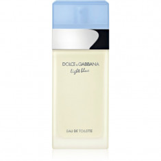 Dolce&Gabbana Light Blue Eau de Toilette pentru femei 25 ml