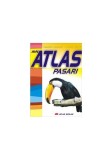 Mic atlas de păsări - Paperback brosat - Aurora Mihail - All
