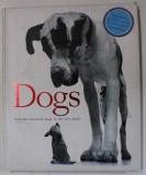 DOGS FROM THE EXTREMELY LARGE TO THE VERY SMALL , THE ULTIMATE DOG LOVER &#039; S GUIDE by EDWARD BANKS , 2014